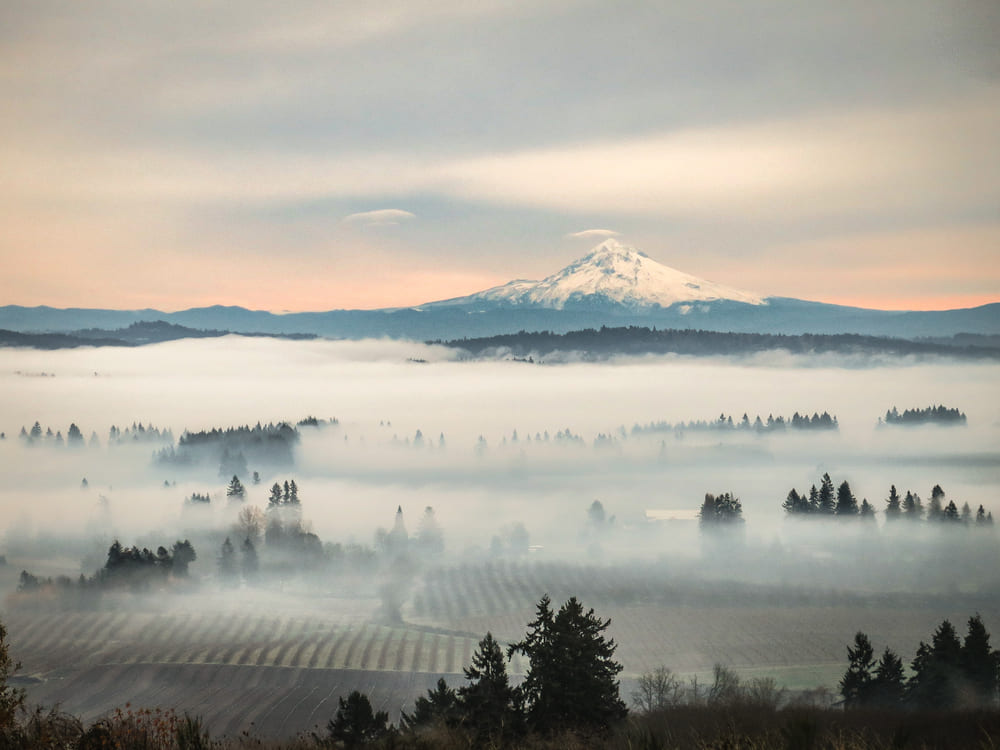 Wine Tasting in Oregon: Why South Stage Cellars is a Top Pick