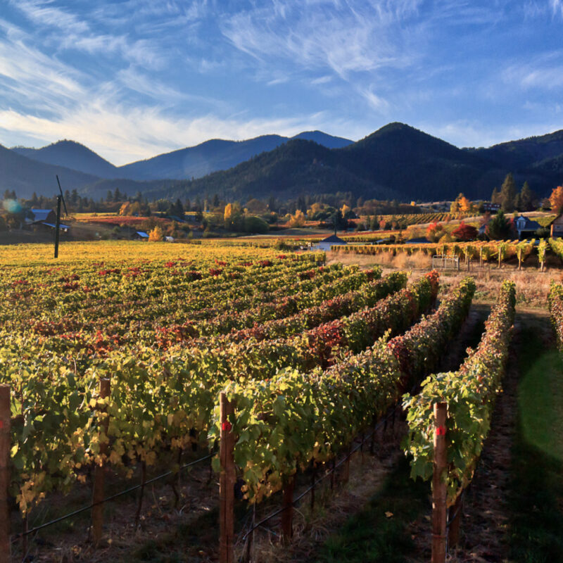 Southern Oregon Wines